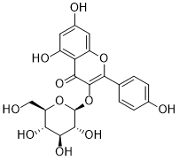 Astragalin 480-10-4